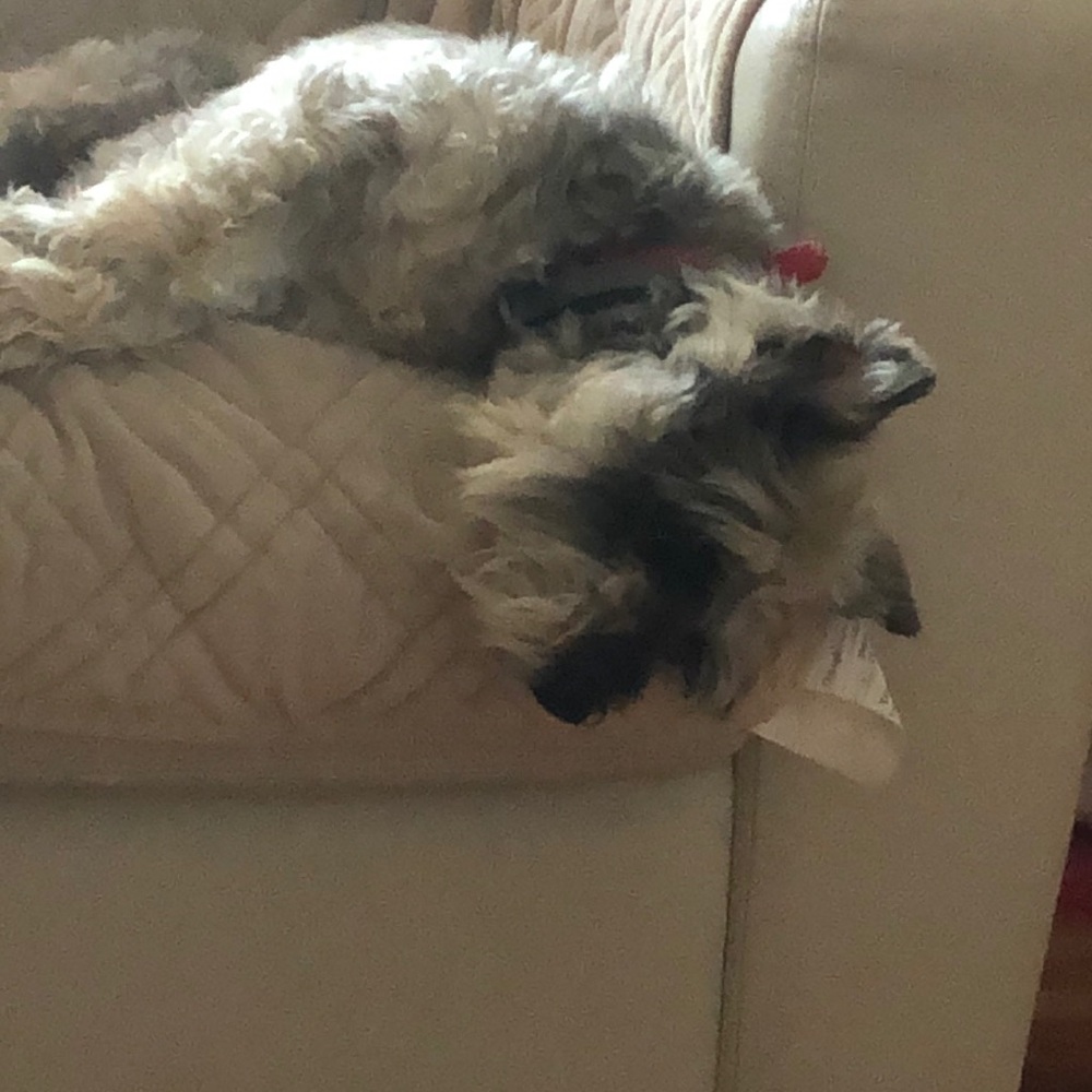 Meet your Posher, Mike